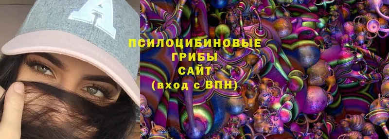 Галлюциногенные грибы Magic Shrooms  Зеленогорск 